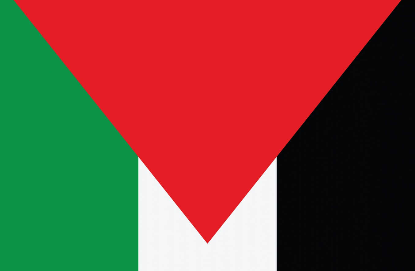 Palestine Flag